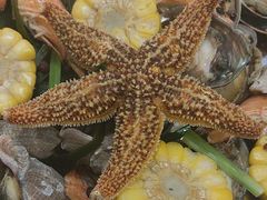 -悦海·家宴·冰花皮皮虾大锅贴(宝龙店)
