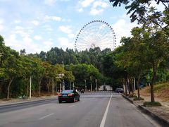 -凤岭儿童公园