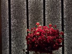 -淮香国色·淮扬菜(正大中心店)