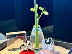 -BLACKSWAN黑天鹅(环球店)