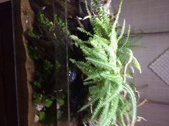 -Together·泰式按摩精油SPA(天山店)