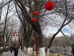 -宗角禄康公园