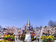 -上海迪士尼度假区