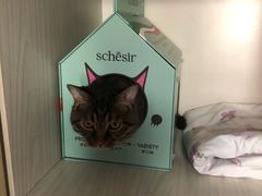 -美联众合动物医院·24h转诊中心