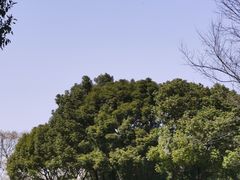 -尚贤河湿地