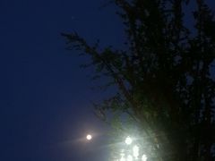 -金陵中学(河西分校)