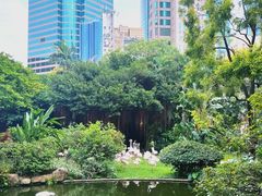 -九龙公园