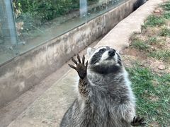 -石家庄市动物园