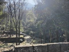 -仙霞关景区