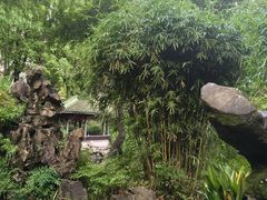 -申粤轩酒楼·三十年粤菜经典(丁香花园店)