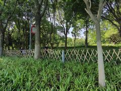 -东莞植物园