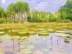 -中国科学院西双版纳热带植物园