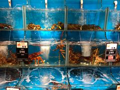-苏大嘴海鲜牧场(奥林匹克店)