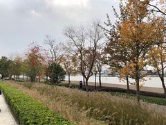 -上海山野camping·户外天幕烧烤·团建拓展营地