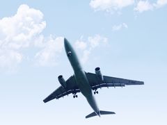 -空港花田景区