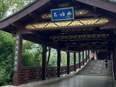 -长广溪湿地公园