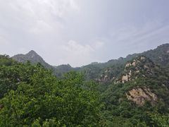 -大岭沟猕猴桃谷风景区