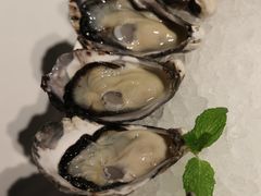 -Oyster Talks 四度蚝法餐厅