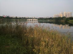 -眉山湿地公园(东坡区)
