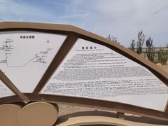 -哈密雅丹大海道景区