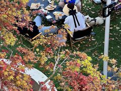 -J Create城市露营咖啡·简餐·宠物(上海动物园店)