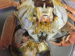 -喜洋洋蟹庄(阳澄湖店)
