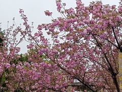 -茅草房·河畔园林火锅