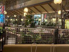 -桂满陇·海市蜃楼·黑金(国金店)