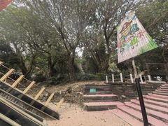 -青青世界