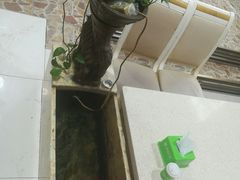 -山水草塘老菜馆