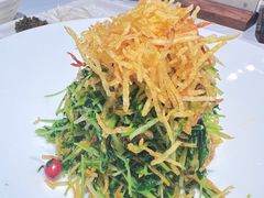 巧拌豆苗-四季民福烤鸭店(王府井灯市口店)