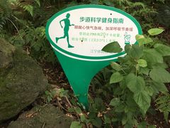 -方山风景区定林寺