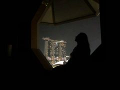 -新加坡丽思卡尔顿美年酒店