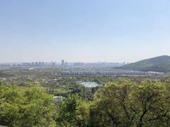 -苏州上方山国家森林公园