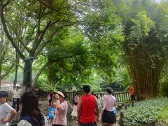 -成都市活水公园