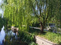 -元大都城垣遗址公园