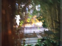 -成都市活水公园