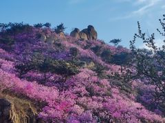-青岛大珠山景区