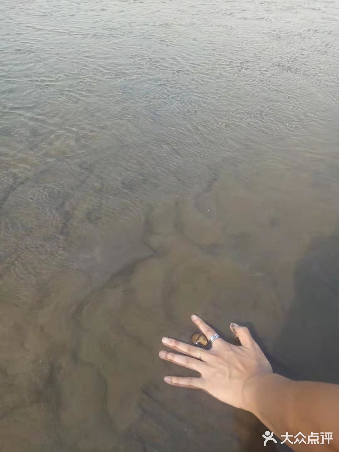 来到长江边溜达，正好赶上退潮，能走到下面的沙滩上