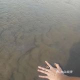 来到长江边溜达，正好赶上退潮，能走到下面的沙滩上