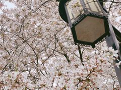 -苏州上方山国家森林公园