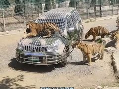 -栾川竹海野生动物园