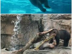 -珠海长隆海洋王国