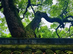 -北山街历史文化街区