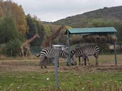 -哈尔滨北方森林动物园