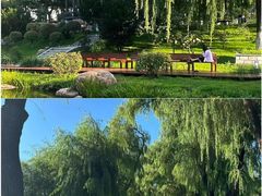 -长春市南湖公园