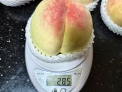 -老袁家蜜桃农场·阳山水蜜桃