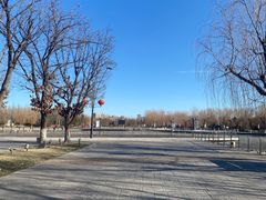 -五环公园