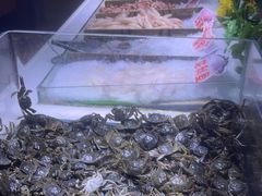 -聚盛源蒸汽海鲜火锅烤肉自助(巨川金海岸购物广场店)