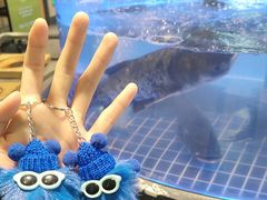 -皇厨荣升名厨家宴.赣州客家菜